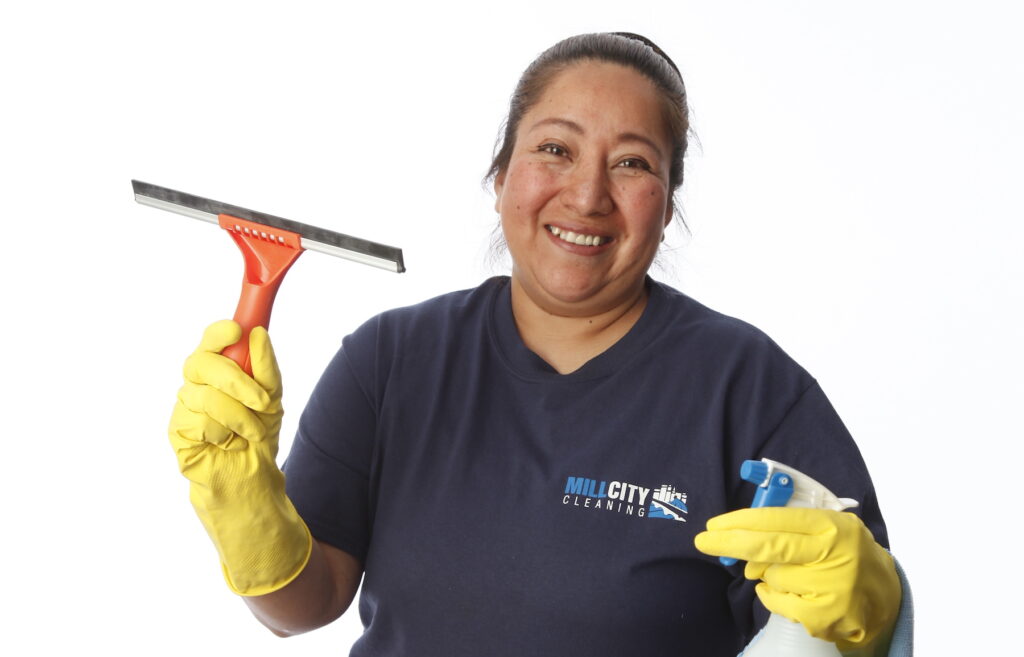 Professional window cleaning